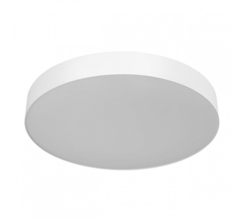 Накладной светильник Citilux BART CL755490