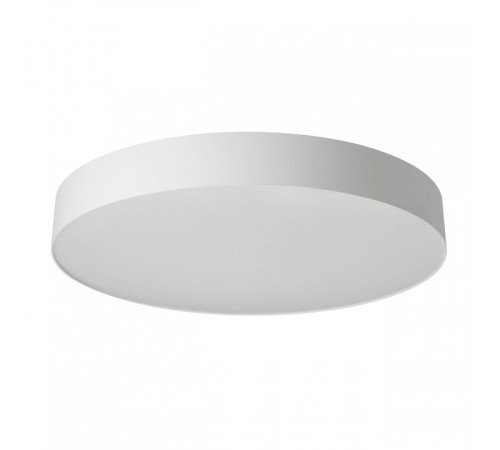 Накладной светильник Citilux BART CL755490