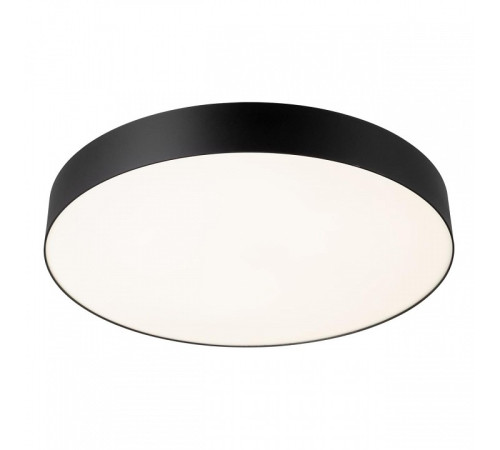 Накладной светильник Citilux BART CL755491