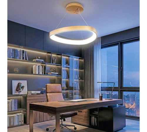 Подвесной светильник Citilux GENKA SMART CL756A042