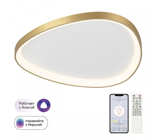 Накладной светильник Citilux GENKA SMART CL756A162