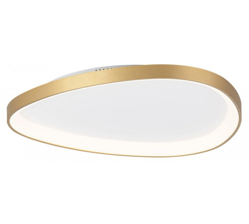 Накладной светильник Citilux GENKA SMART CL756A162