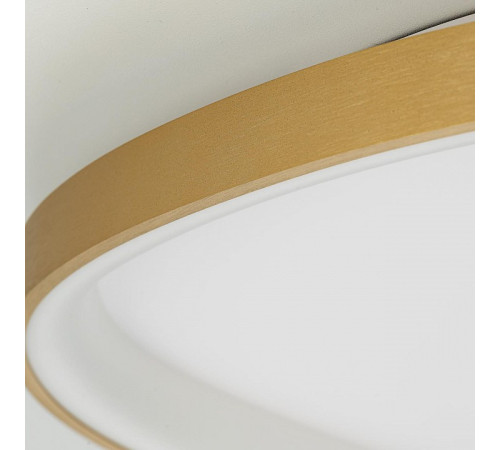 Накладной светильник Citilux GENKA SMART CL756A162