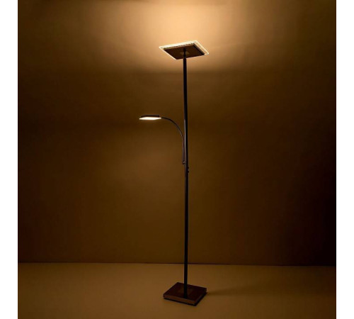 Торшер с подсветкой Citilux Харди CL802011