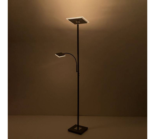 Торшер с подсветкой Citilux Харди CL802015