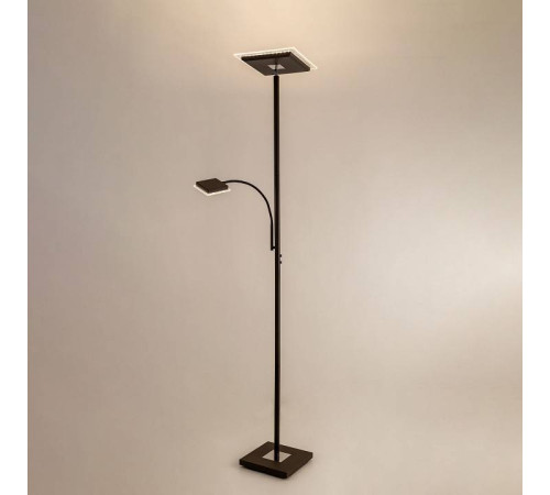 Торшер с подсветкой Citilux Харди CL802015