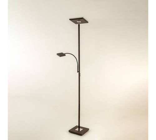 Торшер с подсветкой Citilux Харди CL802015