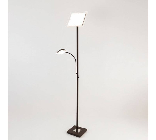 Торшер с подсветкой Citilux Харди CL802015