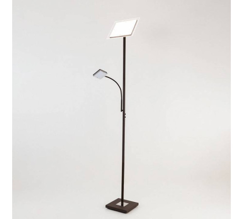 Торшер с подсветкой Citilux Харди CL802015