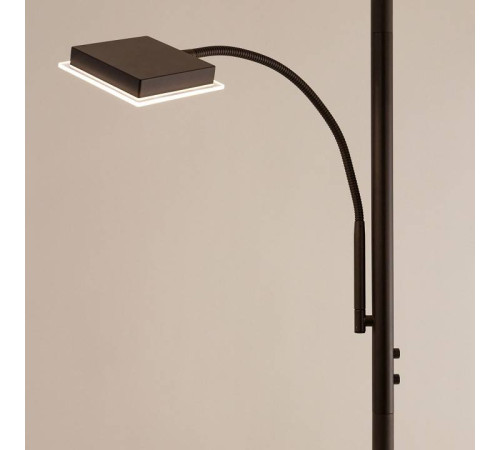 Торшер с подсветкой Citilux Харди CL802015