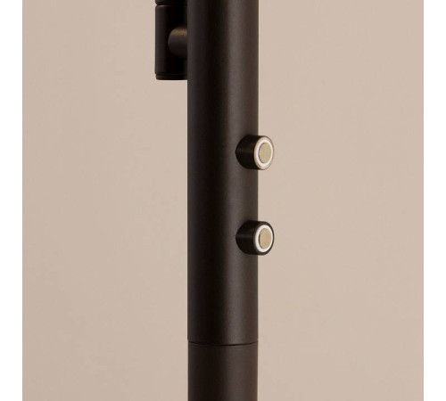 Торшер с подсветкой Citilux Харди CL802015