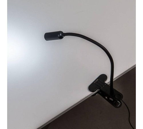 Настольная лампа офисная Citilux Ньютон CL803061N