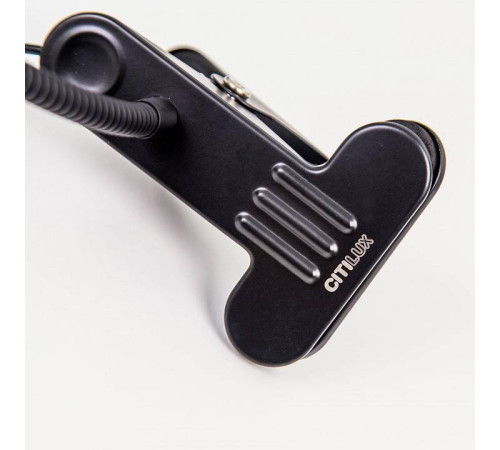 Настольная лампа офисная Citilux Ньютон CL803061N