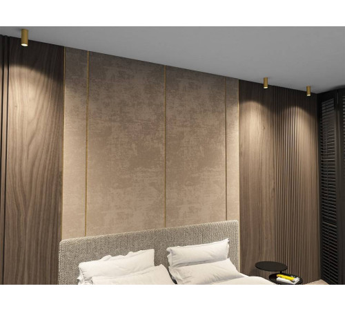 Накладной светильник Denkirs Tube DK2051-SG