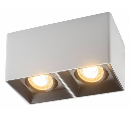 Накладной светильник Denkirs DK3020WB DK3035-WB