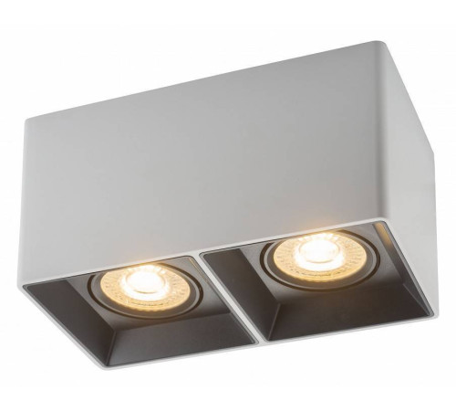 Накладной светильник Denkirs DK3020WB DK3035-WB