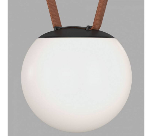 Накладной светильник Denkirs BELTY ORB DK5550-BK