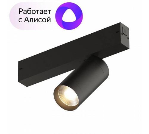 Светильник на штанге Denkirs Dk80 DK8010-BK