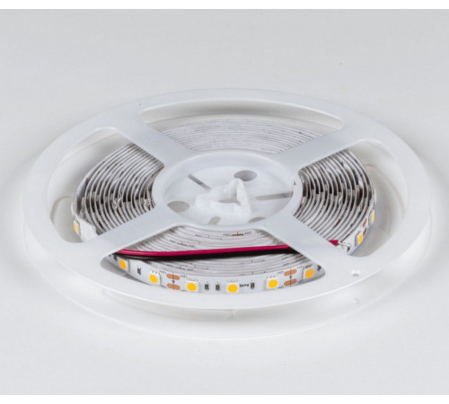 Лента светодиодная DesignLed DSG560 00-00000516