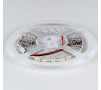 Лента светодиодная DesignLed DSG560 00-00000517