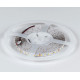 Лента светодиодная DesignLed DSG3120 00-00002764