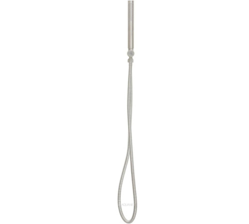 Душевой набор Allen Brau Priority ручной душ водорозетка шланг 1500 мм брашированный никель 5.31019-BN