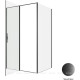 Душевое ограждение Allen Brau Priority 1200x1000 мм браш черный 3.31009.BBA/3.31021.BBA