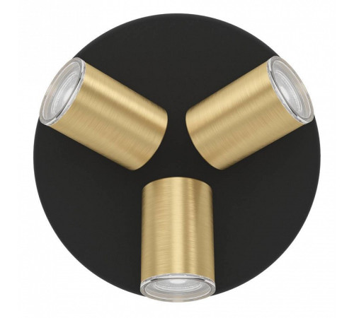 Спот Eglo CONSUMA 1 300586