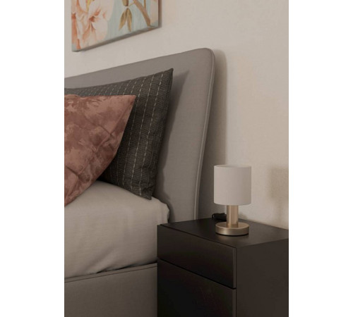 Настольная лампа декоративная Eglo MONTETTO 31841