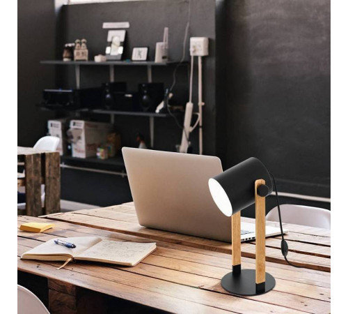 Настольная лампа декоративная Eglo ПРОМО HORNWOOD 43519