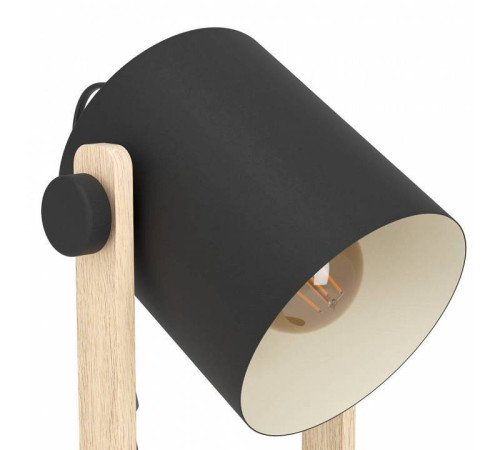 Настольная лампа декоративная Eglo ПРОМО HORNWOOD 43519