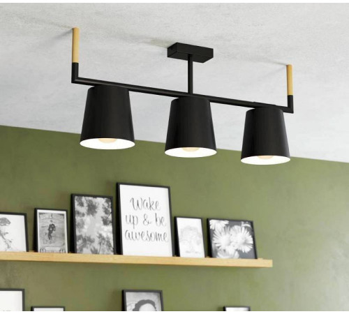 Светильник на штанге Eglo ПРОМО Lacey 43611