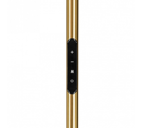 Торшер Eglo CASTELPOTO 1 901975