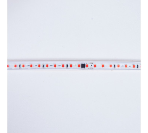 Лента светодиодная Eleganz EL-220R