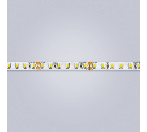Лента светодиодная Eleganz LUX EL-24V-96WW