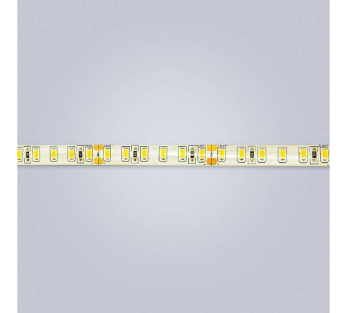 Лента светодиодная Eleganz LUX EL-24V65-96WW