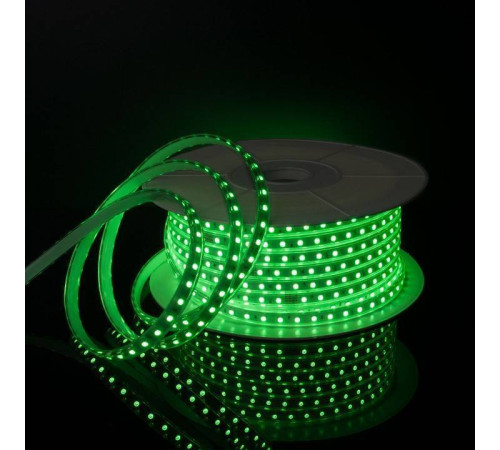 Лента светодиодная Elektrostandard LS002 220V RGB a053641