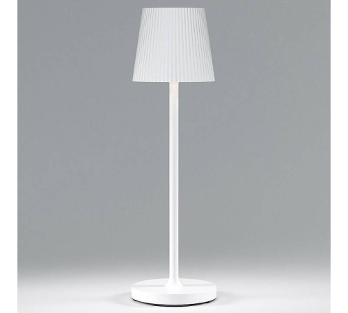 Настольная лампа декоративная Elektrostandard Mist a063928