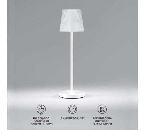 Настольная лампа декоративная Elektrostandard Mist a063928