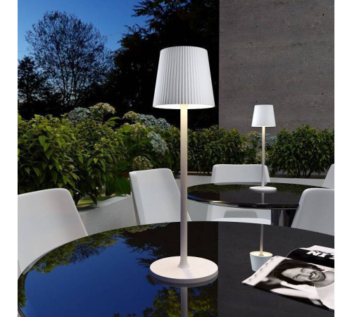 Настольная лампа декоративная Elektrostandard Mist a063928