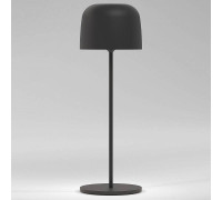 Настольная лампа декоративная Elektrostandard Bitty a069002