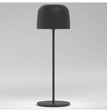 Настольная лампа декоративная Elektrostandard Bitty a069002