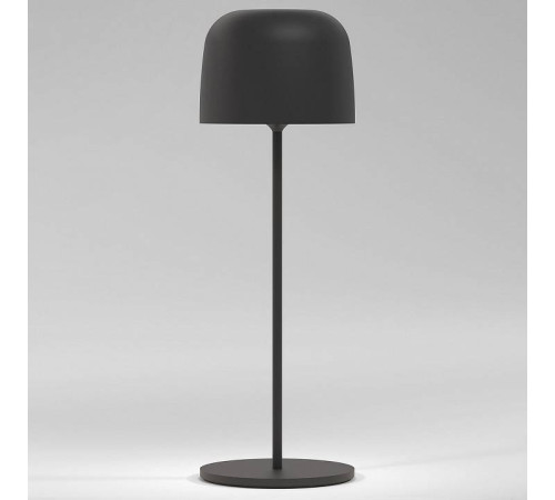 Настольная лампа декоративная Elektrostandard Bitty a069002