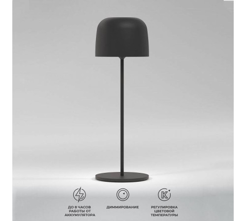 Настольная лампа декоративная Elektrostandard Bitty a069002