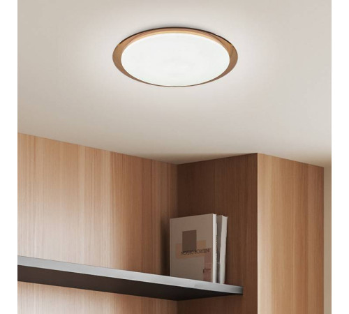 Накладной светильник Эра Классик SPB-6-70-RC Saturn (B)