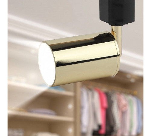 Светильник на штанге ЭРА TR14-GU10 GD