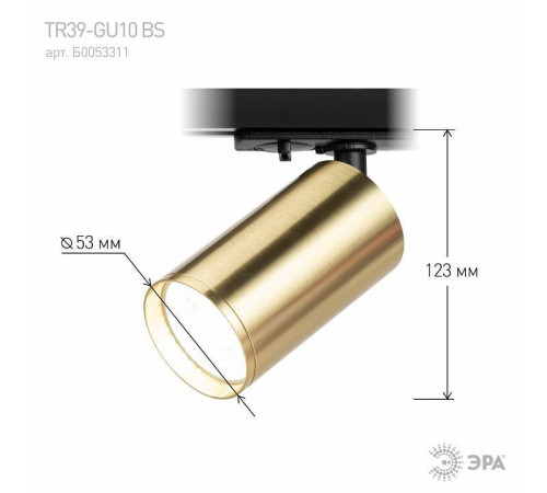 Светильник на штанге ЭРА TR39-GU10 BS