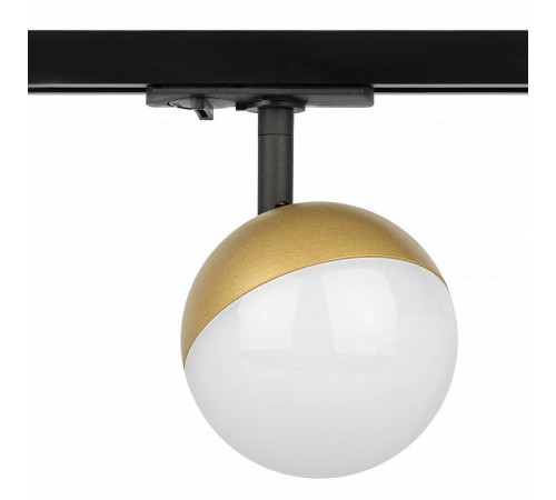 Светильник на штанге Эра TR42-GX53 MG