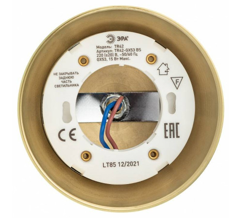 Светильник на штанге Эра TR42-GX53 MG