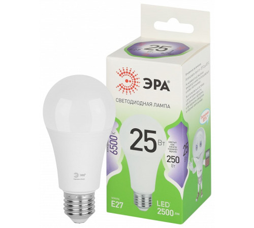 Лампа светодиодная Эра Green Line LED A60-25W-865-E27 GL